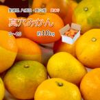真穴みかん 訳あり みかん 真穴 約10ｋｇ 2S-S 小玉厳選 送料無料