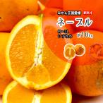 ネーブル 訳あり 箱買い ネーブルオレンジ オレンジ 愛媛県産 9-10ｋｇ 送料無料