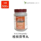 【第2類医薬品】ウチダの原末・桂�