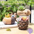 植木鉢 リス りす 母の日 ガーデニングオブジェ 鉢植え フラワープランター 多肉植物 サボテン ミニ プランター おしゃれ 可愛い