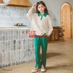 ショッピング韓国子供服 韓国子供服 セットアップ キッズ 子供服 女の子 秋服 春服 tシャツ 長袖 ロングパンツ 長ズボン おしゃれ 可愛い こども服 ジュニア ベビー服 トップス ボトムス