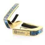ta задний kapoThalia Capos Exotic Shell Series Prism Abalone / 24K GOLD гитара 12 дюймовый порожек накладка приложен 