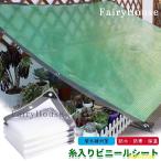 防水シート 透明 PE ビニールシート 雨よけ シート 屋外 防水 防風 防塵 庭園 植物 冬夏 保護 カバー ロープ付き ビニール温室 保温 透明 温