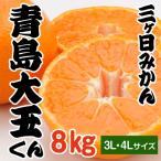 三ケ日みかん 青島みかん 静岡 三ヶ日 8kg 大玉くん 3L・4Lサイズ