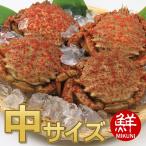 [4 месяц 27 день примерно поступление ] весна. тест .! Aomori производство togekligani( средний размер ): женский 4 кубок 