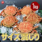 予約：4月26日より入荷次第順次発送　春の味覚！ 青森産トゲクリガニ (1kg：特大サイズ〜中サイズ混じり)：メス4〜7杯