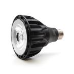 HaruDesign 植物育成LEDライト GL-A 6K 白色系 6000ケルビン - 最安値