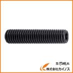 TRUSCO 六角穴付止めネジ サイズM8X20 43本入 B31-0820