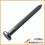 TRUSCO メジャーネイル サイズ10X20X100 砂利道用 TMN-4