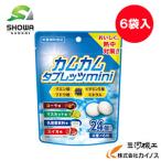 ショッピング熱中症 【熱中症対策】カムカムタブレッツmini ＜N25-48＞ 36g(標準24粒)×6袋入 4種アソート ※軽減税率