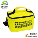 ショッピング熱中症 【熱中症対策】熱中症処置応急セット レギュラー ＜N25-86＞【救急セット キット 救急箱 救急バック 治療 予防】