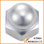 TRUSCO 袋ナット 三価白 サイズM3X0.5 37個入 B739-0003