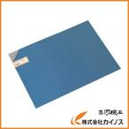 光 ステンレス200×300 HS0532