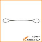 TRUSCO 玉掛けワイヤーロープ 段落し 9mmX4m TWD-9S4