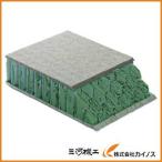 トラスコ中山 TRUSCO 吸音パネルのり付きタイプ 300X600 厚み38mm QP38-3060 QP383060