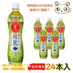 綾鷹 特選茶 500ml PET（2