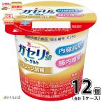 恵 megumi ガセリ菌SP株ヨーグルト プレーン加糖 1ケース 合計12個 【3980円対象】 【冷蔵同梱】 100g 機能性表示食品 雪印メグミルク