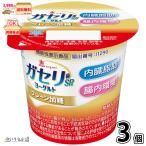 恵 megumi ガセリ菌SP株ヨーグルト プレーン加糖 1個 【3980円対象】 【冷蔵同梱】 100g 機能性表示食品 雪印メグミルク