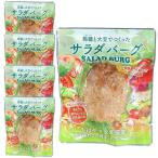 ビーガン食品 レトルト ヴィーガン食品 代替肉 ハンバーグ 肉を使わない畑生まれのハンバーグ 蒟蒻と大豆でつくったサラダバーグ 90g×5袋