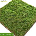よりリアル感 モス 人工苔 苔マット フェイクグリーン 人工植物 造花 芝生マット