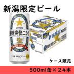 お中元 ビール-商品画像