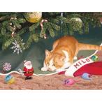 猫のクリスマスカード・ボックス パーシス・クレイトン・ウエアース マイロ 猫雑貨