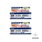 デルマレチゾンPV軟膏 10G(指定第2類医薬品) ×2個セット