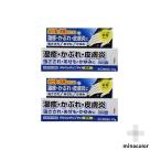 デルマレチゾンPV軟膏 10G(指定第2類医薬品) ×2個セット
