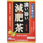 山本漢方製薬 濃い旨い減肥茶 10g×24