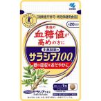 サラシア100 小林製薬 約20日分 60粒 血糖値 コレステロール (特定保健用食品)