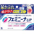 【第2類医薬品】フェミニーナUP 15g 尿かぶれ かゆみ止め薬