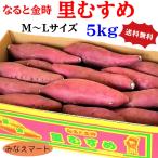 .... становится . золотой час [5kg входить M,L размер ] Tokushima производство батат становится . золотой час клубень 