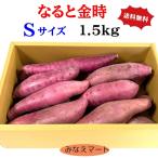 [ новинка! пробный SALE цена ] становится . золотой час (S размер 1.5kg ввод ) товар с некоторыми замечаниями бесплатная доставка Tokushima Special производство .. золотой час батат маленький размер 