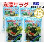 海藻サラダ　100g×4袋セット　鳴門わかめ使用　塩蔵　水戻し簡単！