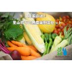 【有機JAS認証】里山育ちの無農薬野菜セット【Mサイズ】 オーガニック shiga2201