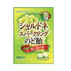 黄金糖　シャルドネスパークリングのど飴　T4901072203190 キャンディ お菓子 黄金糖  しゅわっと 微発泡 果汁　はな・のど爽快　乾燥対策　のどスッキリ