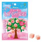 カンロ しずくの宝石グミ 芳潤白桃味 T4901351026953 桃グミ 白桃 お菓子 グミ おやつ フルーツグミ ピーチグミ ジューシーグミ 南信州菓子工房 桃 コンビニ限定