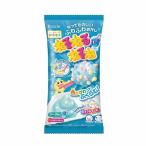 klasie....... soda тест 25.5g T4901551357352 интеллектуальное развитие кондитерские изделия soda ручная работа сладости дагаси Children's Meeting party ребенок предназначенный . покупка 