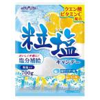 扇雀飴 粒塩キャンディ 50g T4901650292950 和風キャンディ 塩味 国産キャンディ 個包装 キャンディ 昔ながらのキャンディ 個包装 バラまき 景品 子供会
