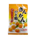第一製菓 きんかんのど飴 100g T4904642820131 キャンディお菓子 バラまき きんかん きんかんペースト 金柑 のど飴 乾燥対策 爆買