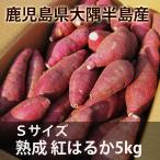 ショッピングさつまいも 鹿児島のさつまいも「べにはるか」５kg Sサイズ 熟成 紅はるか