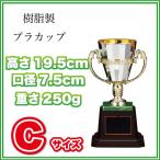 優勝 表彰 カップ プラ 樹脂製 CP165-Cサイズ(高さ19.5cm 口径7.5cm 重さ250g)（C-2） 彫刻名入れ無料 南九州トロフィー