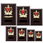  награждение ..K5064 несессер ввод название inserting скульптура победа награждение Trophy память сувенир можно выбрать размер Minamikyushu Trophy 