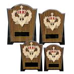  награждение ..K5082 несессер ввод название inserting скульптура победа награждение Trophy память сувенир можно выбрать размер Minamikyushu Trophy 