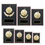  награждение .( бейсбол ) K5101 из дерева компрессия материал несессер ввод название inserting скульптура победа награждение Trophy память сувенир можно выбрать размер Minamikyushu Trophy 