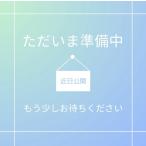 トレーン(TRANE) 【NEW】 トレーン Nゲージ ダイキャストスケールモデル No.32 923形ドクターイエロー