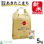 あきたこまち 5kg 精米 白米 米 秋田県産 令和3年産 農家直送 古代米お試し袋付き