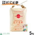 米 お米 米5kg  だて正
