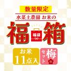 お米 福箱 (梅セット) 福袋 2025 詰め合わせ お楽しみ 数量限定販売