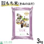 きぬのはだ 3kg もち米 米 秋田県産 令和3年産 農家直送 古代米お試し袋付き